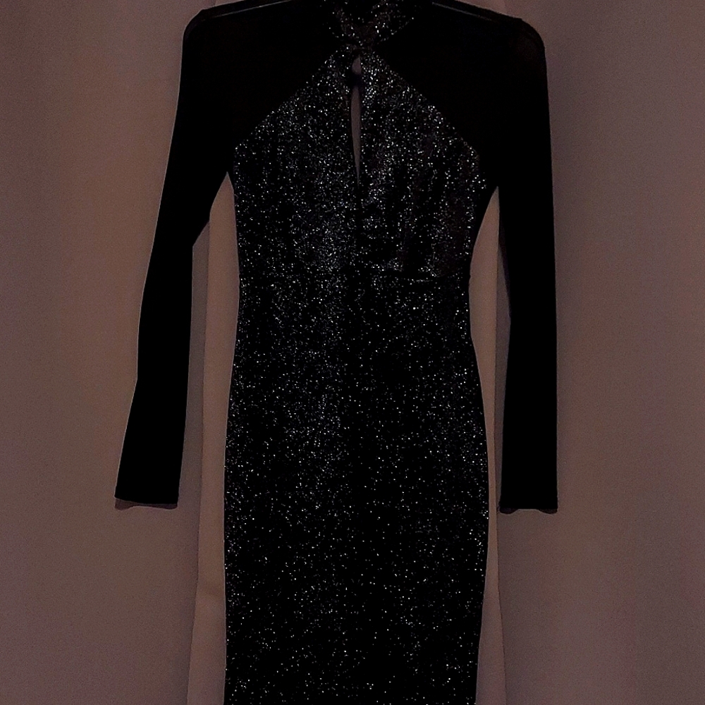 Charolette Russe-  Glitter Sheer mesh bodycon dress  (S)